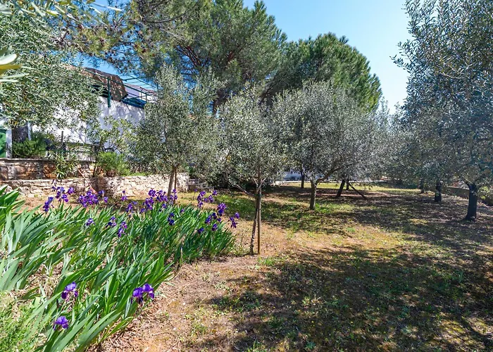 דירה With Parking Space - Labin - 6464 *