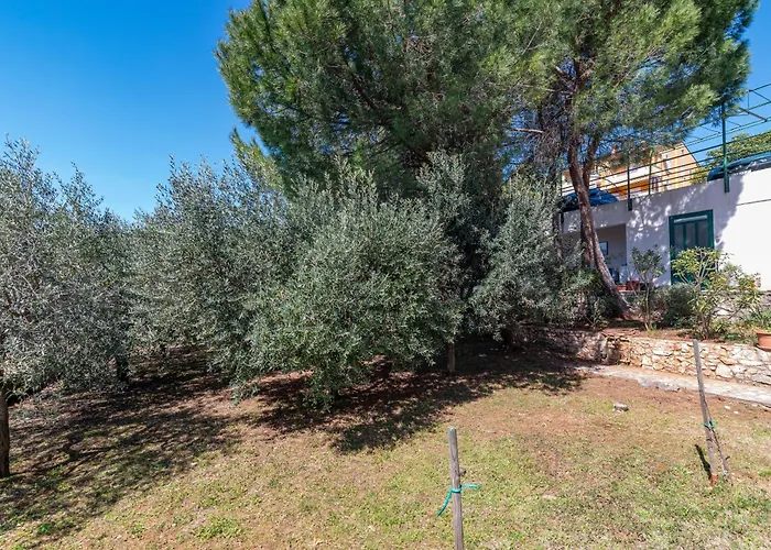 With Parking Space - Labin - 6464 * ראבץ